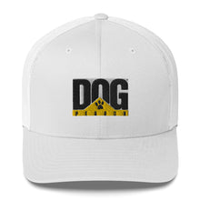 Load image into Gallery viewer, Perron Cap